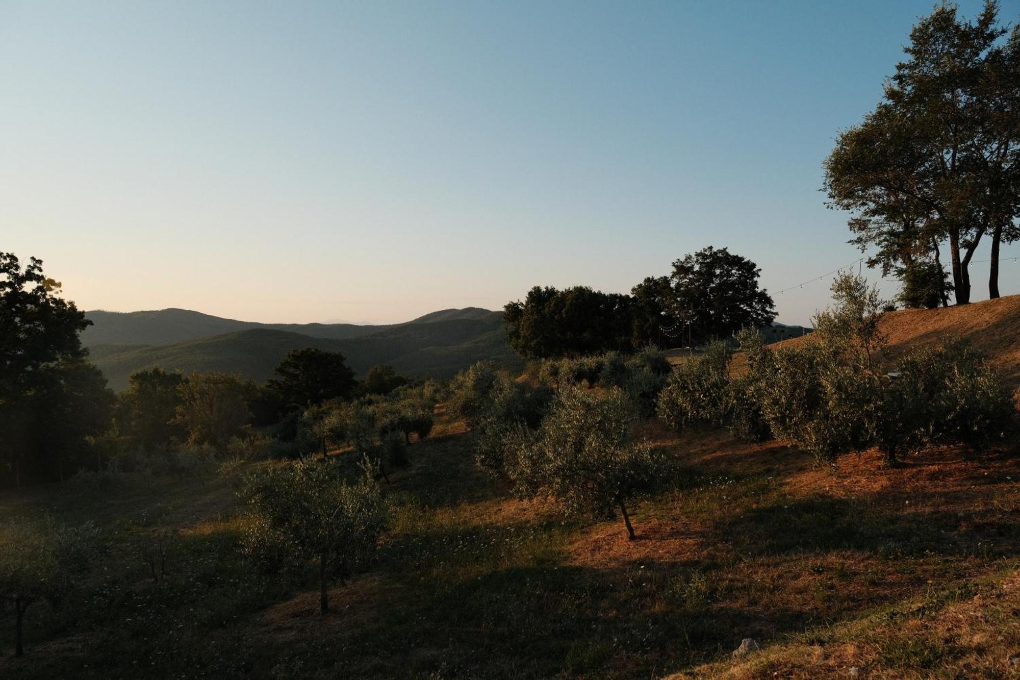 Vin Hotel - Wine Resort And Agriturismo Montieri Екстериор снимка